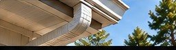 Gutters and soffit